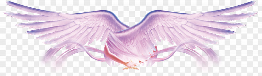 Fantasy Flying Wings Flight Wing PNG