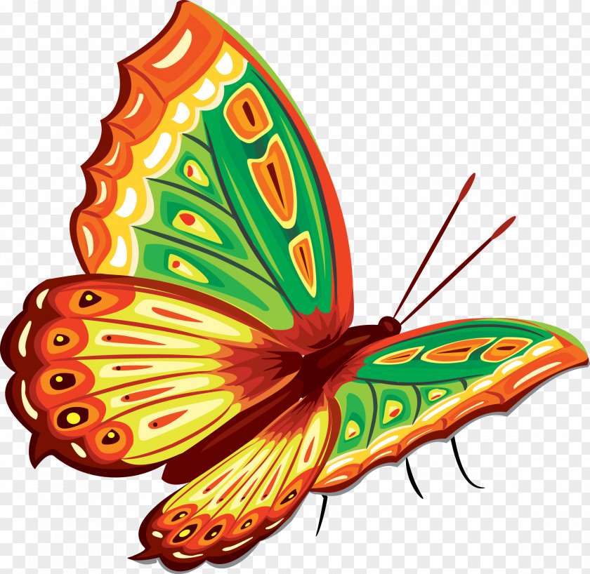 Flies Butterfly Clip Art PNG