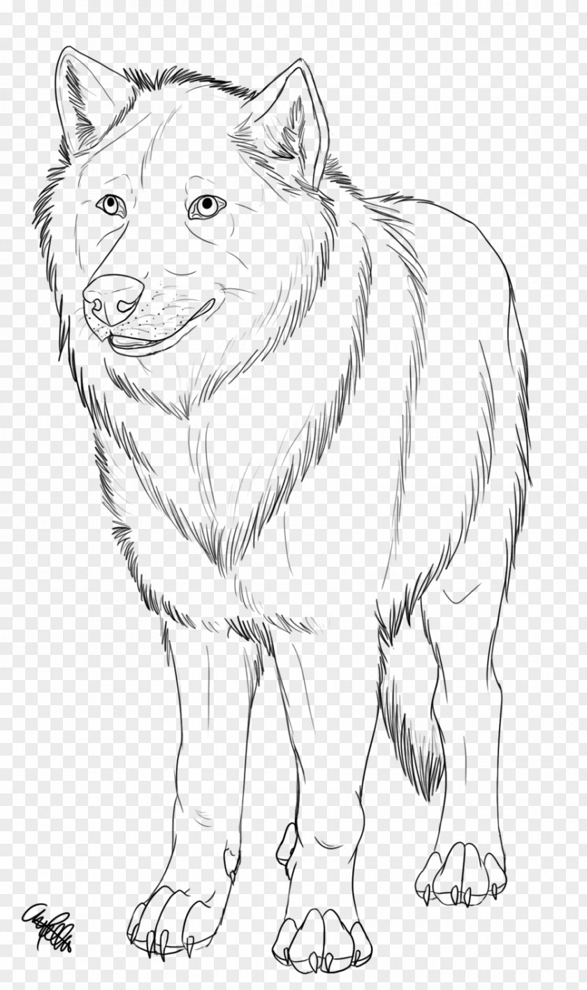 Painted Gray Wolf Dog Breed Red Fox Line Art Drawing PNG