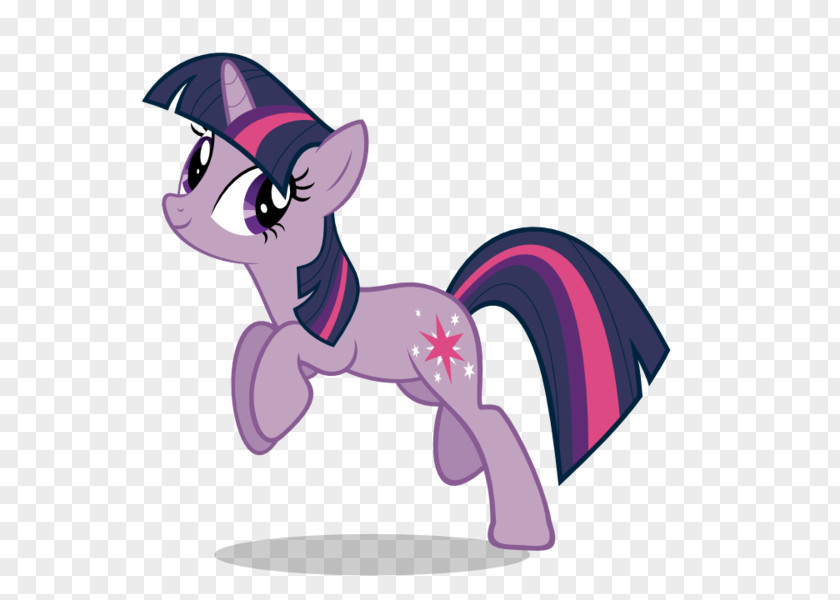 Pony Twilight Sparkle Rainbow Dash Flash Sentry PNG