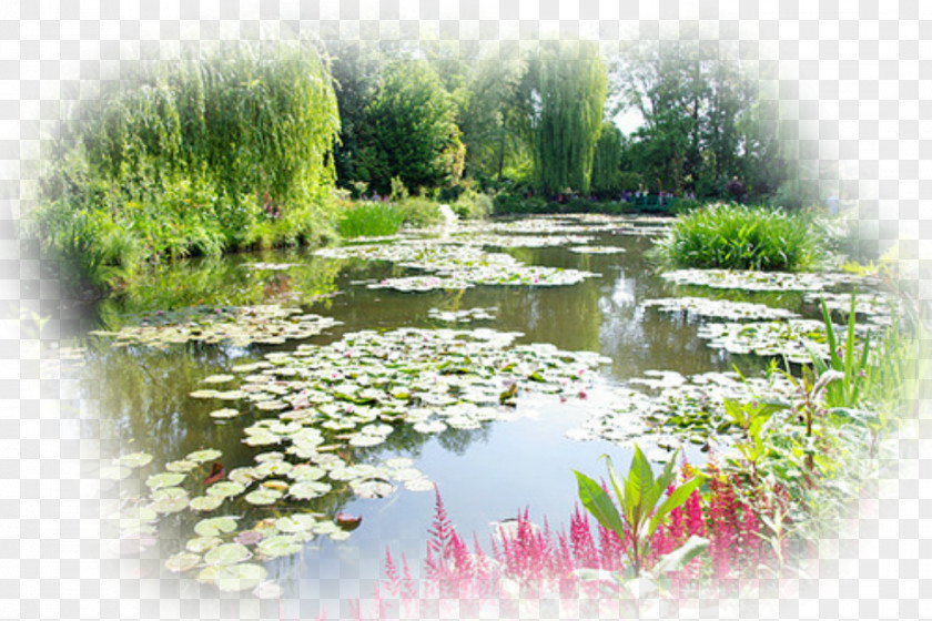 Water Lilies Giverny Rouen Cathedral Landscape Painting PNG