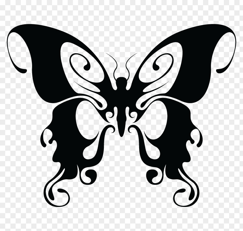 Butterfly Drawing Black And White PNG