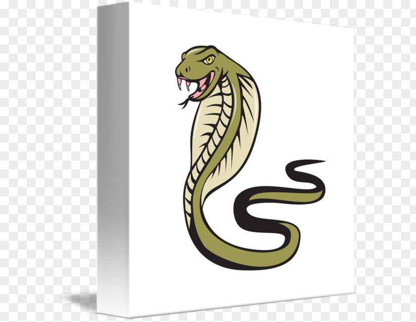 Cartoon Snake Vipers Drawing Royalty-free PNG