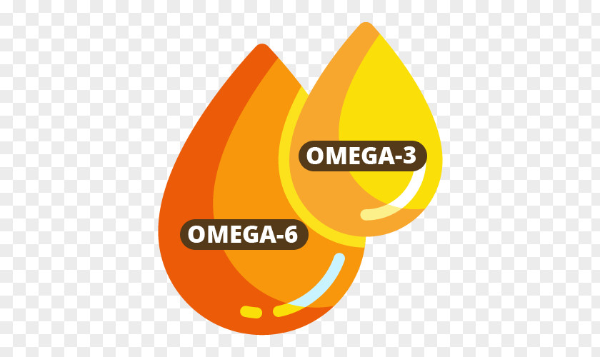 Omega3 Logo Acid Gras Omega-3 Omega-6 Fatty Nutrition PNG