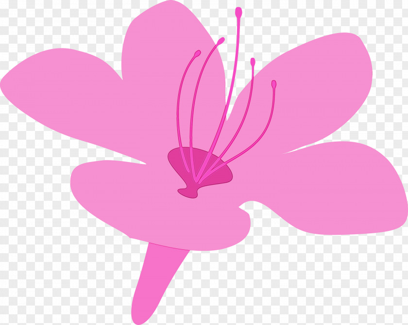 Pink Petal Flower Violet Plant PNG