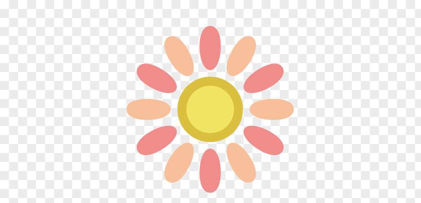 Sun Snowflake Pattern PNG