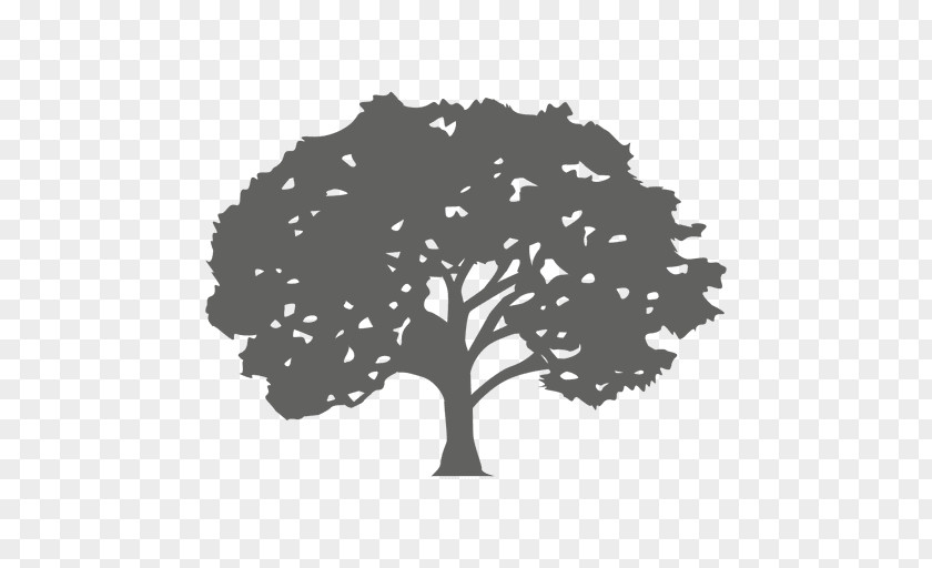 Arboles Tree Silhouette Red Maple PNG
