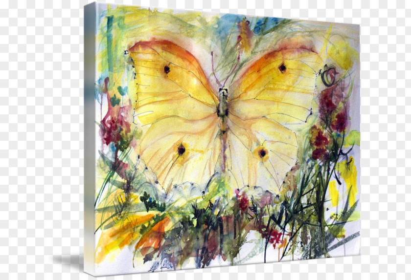 Butterfly Watercolor Oil Painting Reproduction Fine Art PNG