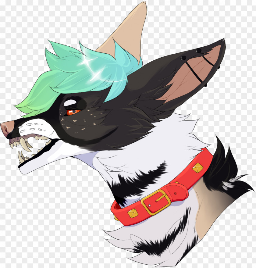 Cat Dog Canidae PNG