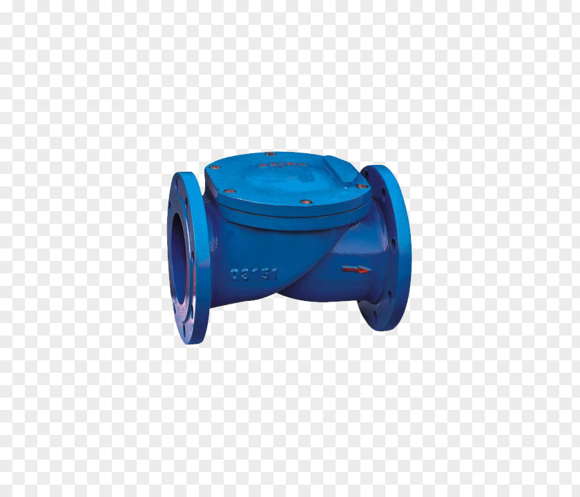 Check Valve Plastic Nepal PNG