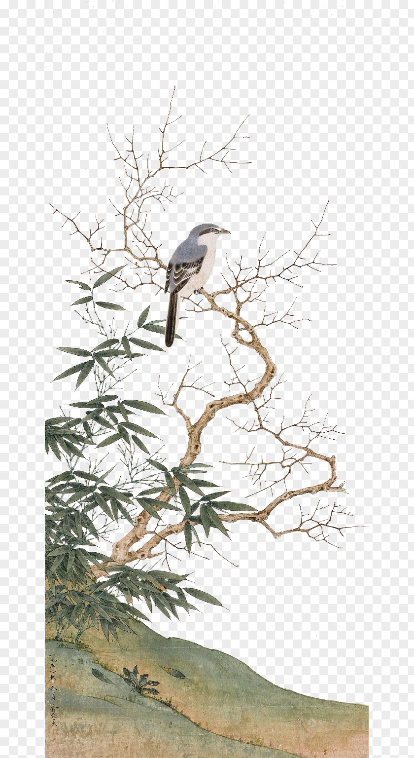 Chinese Birds On The Branches Of Culture China Painting PNG