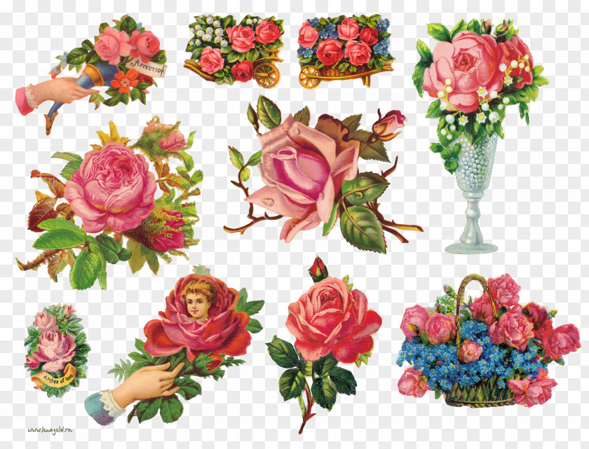 Flower Garden Roses Floral Design Clip Art PNG