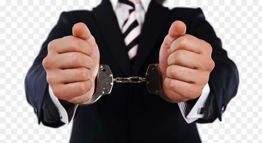 Lawyer Law Firm Advocate Criminal PNG