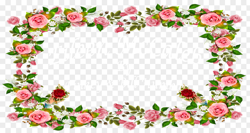 Memorial Ranger Garden Roses Stock Photography Floral Design Dreamstime Flower PNG