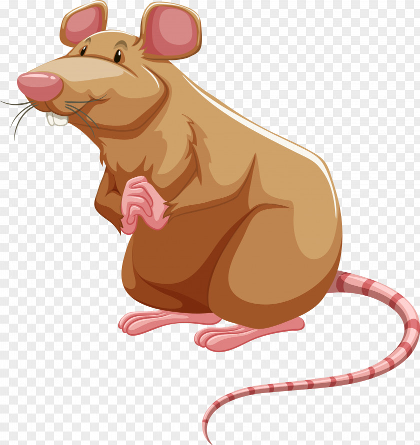 Rat Brown Laboratory Royalty-free PNG