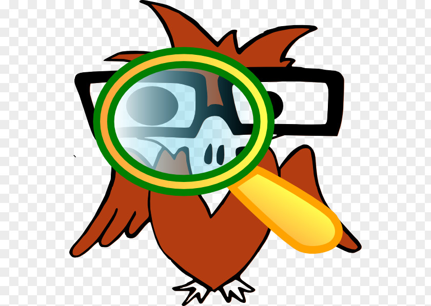 Cartoon Eagle Glasses Drawing Clip Art PNG