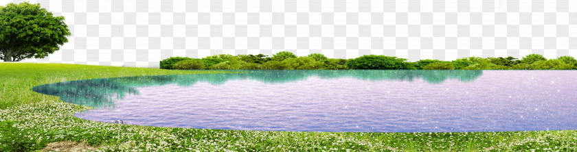 Green Lake Grass PNG