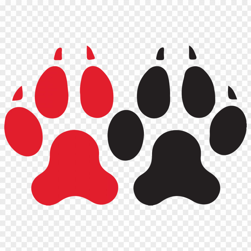 Husky Clipart Northeastern University Huskies Men's Ice Hockey Women's Matthews Arena Quinnipiac PNG