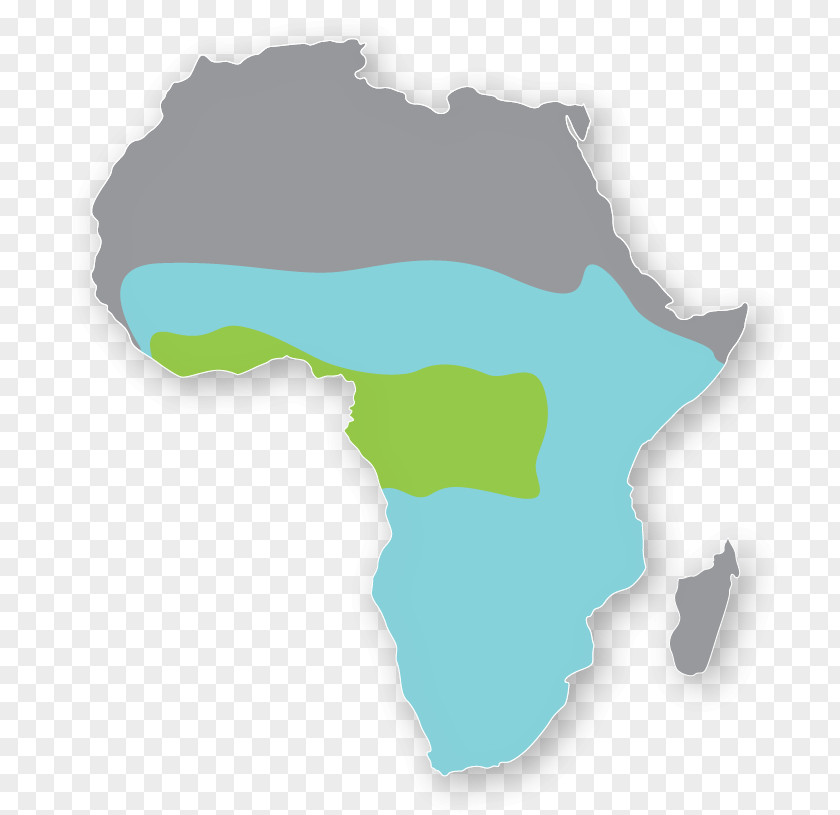 African Grasslands Liberia World Map Mapa Polityczna PNG