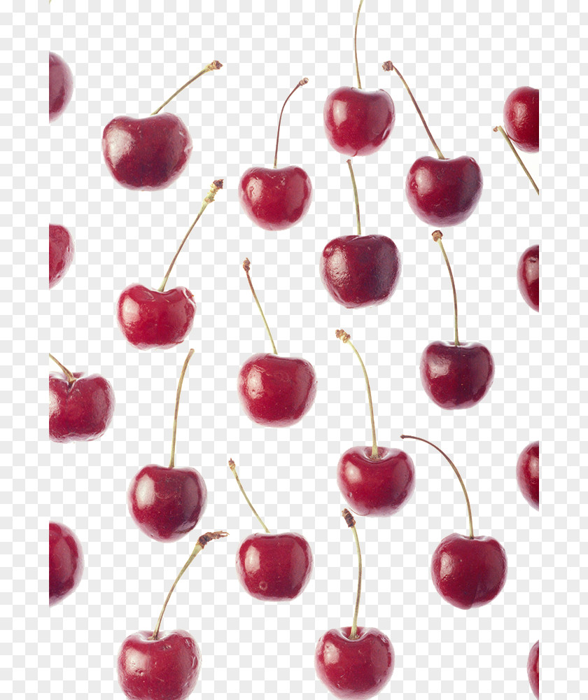 Cherry Fruit Physical Map Nectarine Auglis PNG