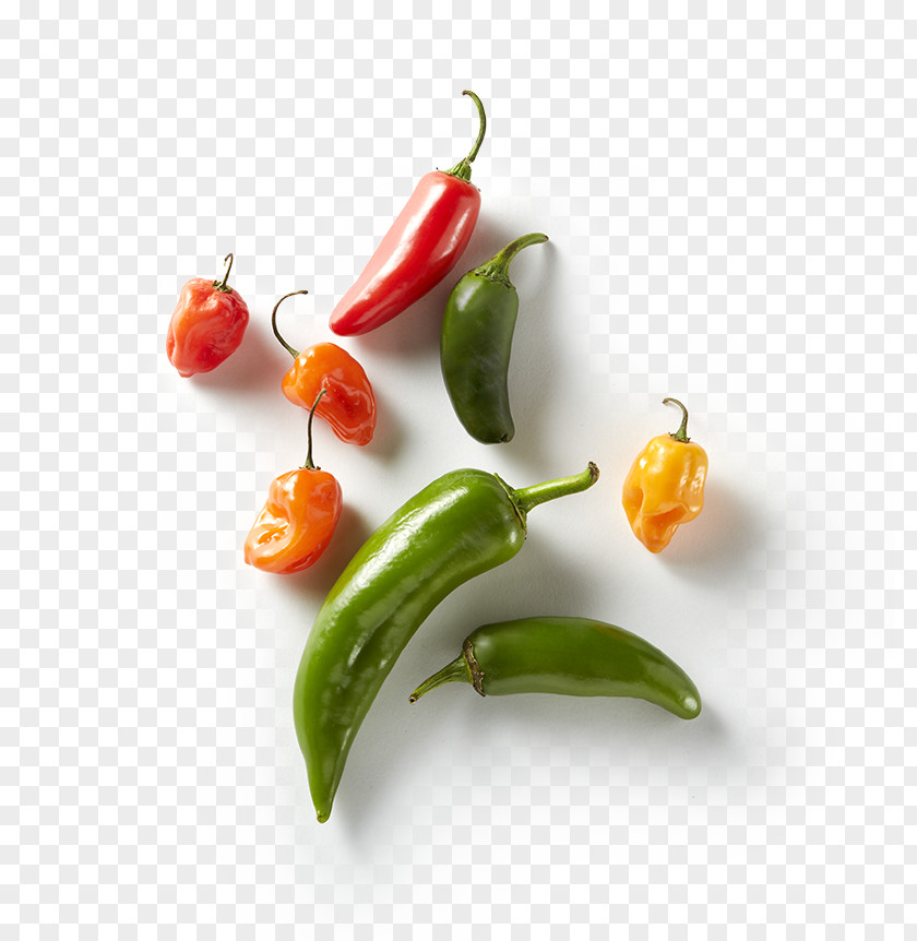 Harvest Snaps Black Peper Habanero Serrano Pepper Bird's Eye Chili Tabasco Bell PNG