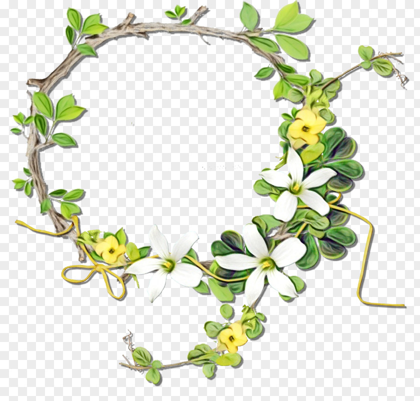 Ivy Plant PNG