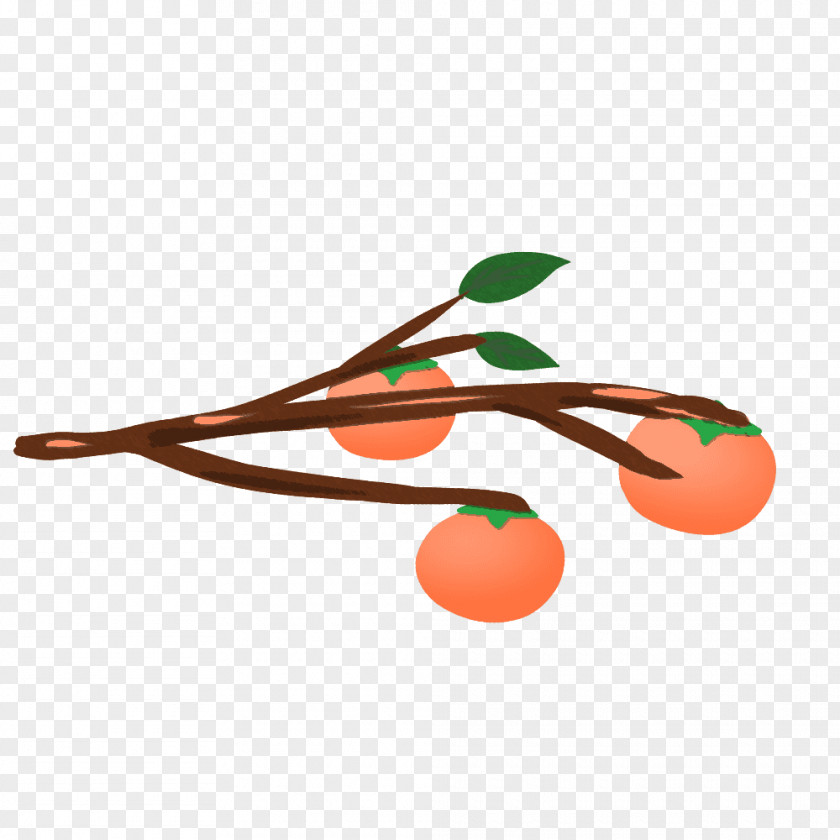 Japanese Persimmon Fruit Illustration Graphics Common PNG