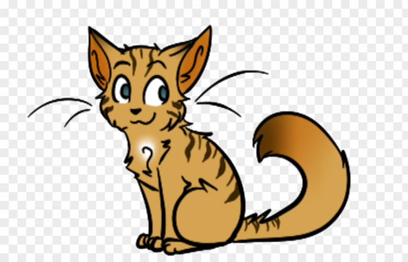 Kitten Whiskers Wildcat Red Fox PNG
