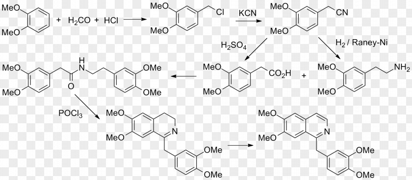 Medicinal Plants Vitamin K Antagonist Drug Receptor Lysergic Acid Diethylamide Quantitative Structure–activity Relationship PNG