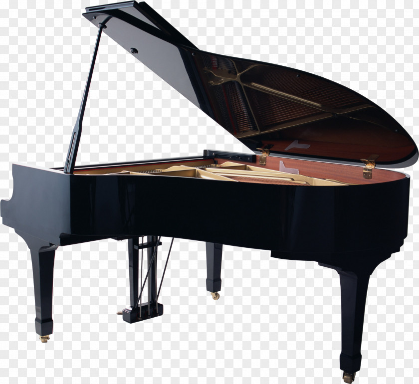 Musical Instruments Piano Art PNG