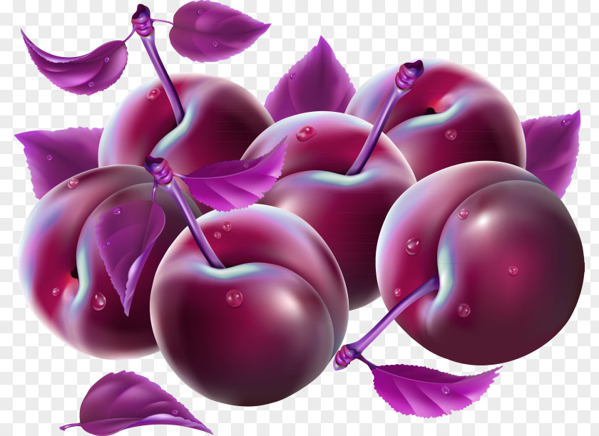 Plum Cherry Fruit Clip Art PNG