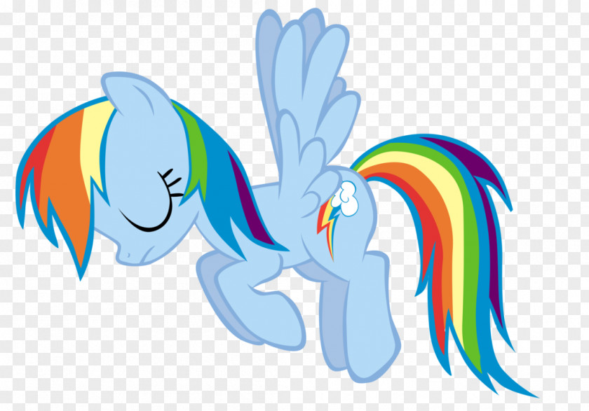 Rainbow Pony Dash Princess Luna Fluttershy PNG