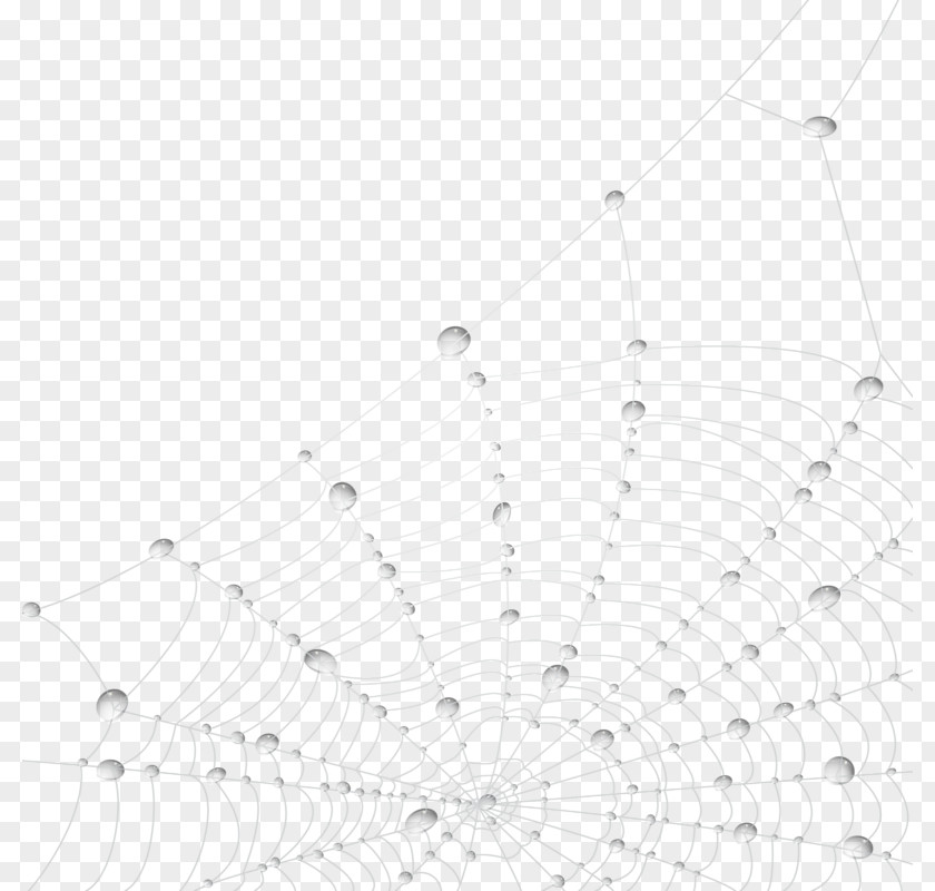 Spider Web With Water Droplets PNG