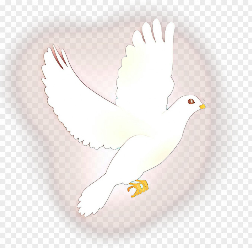 Tail Sticker Bird Drawing PNG