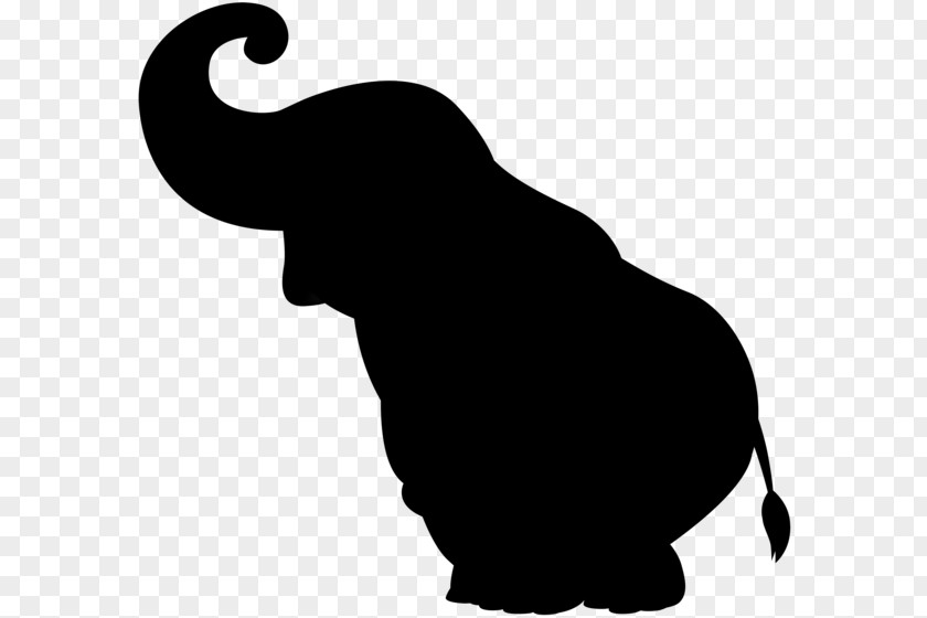Cat African Elephant Indian Clip Art PNG