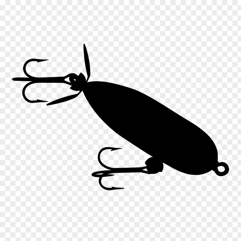 Clip Art Product Design Insect Line PNG