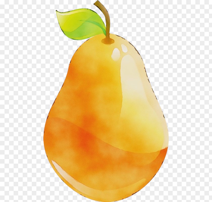 Fruit Tree Accessory PNG