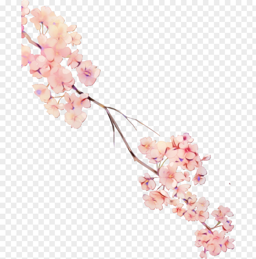 Moth Orchid Fashion Accessory Watercolor Pink Flowers PNG