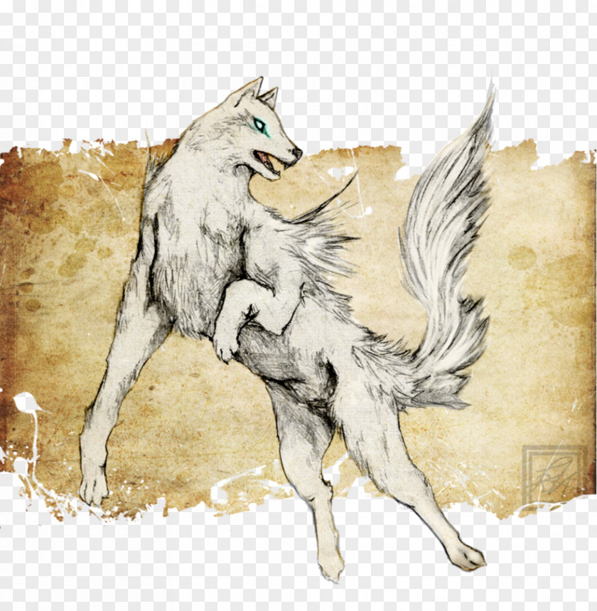 Wolf Spirit Coyote Gray Drawing Illustration Image PNG