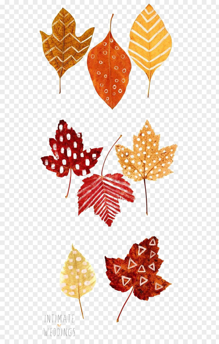 Autumn Leaves Thanksgiving Leaf Color Place Card Drawing PNG