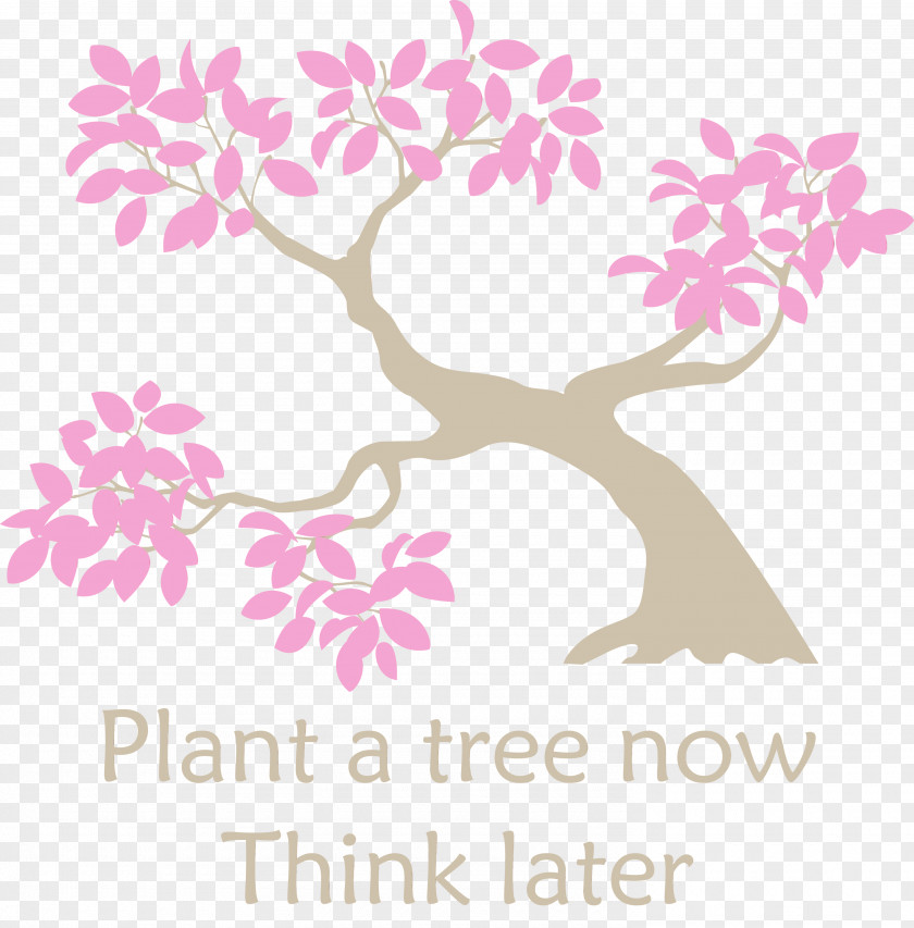 Branch Tree Trunk Leaf Plant Stem PNG