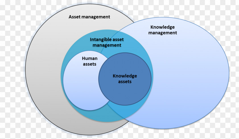 Managemant Asset Management Intangible Investment PNG