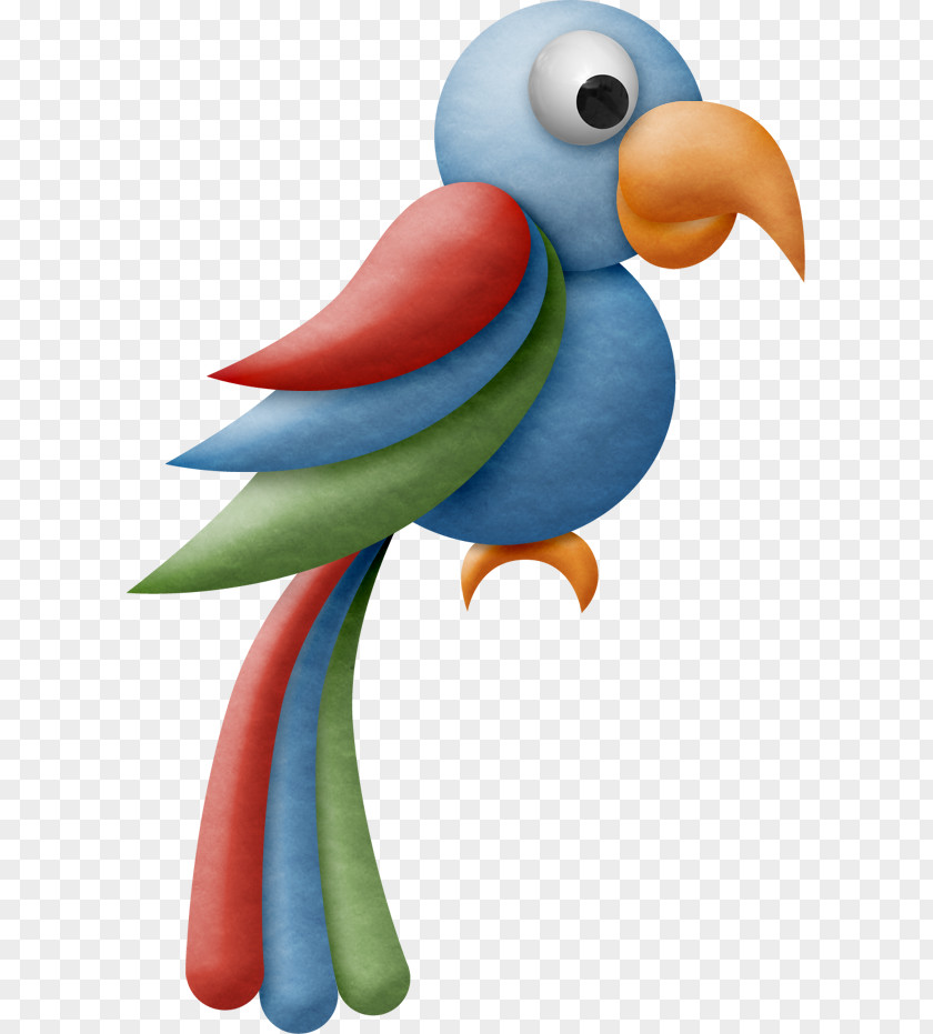 Pirate Parrot Bird Animal Safari Clip Art PNG