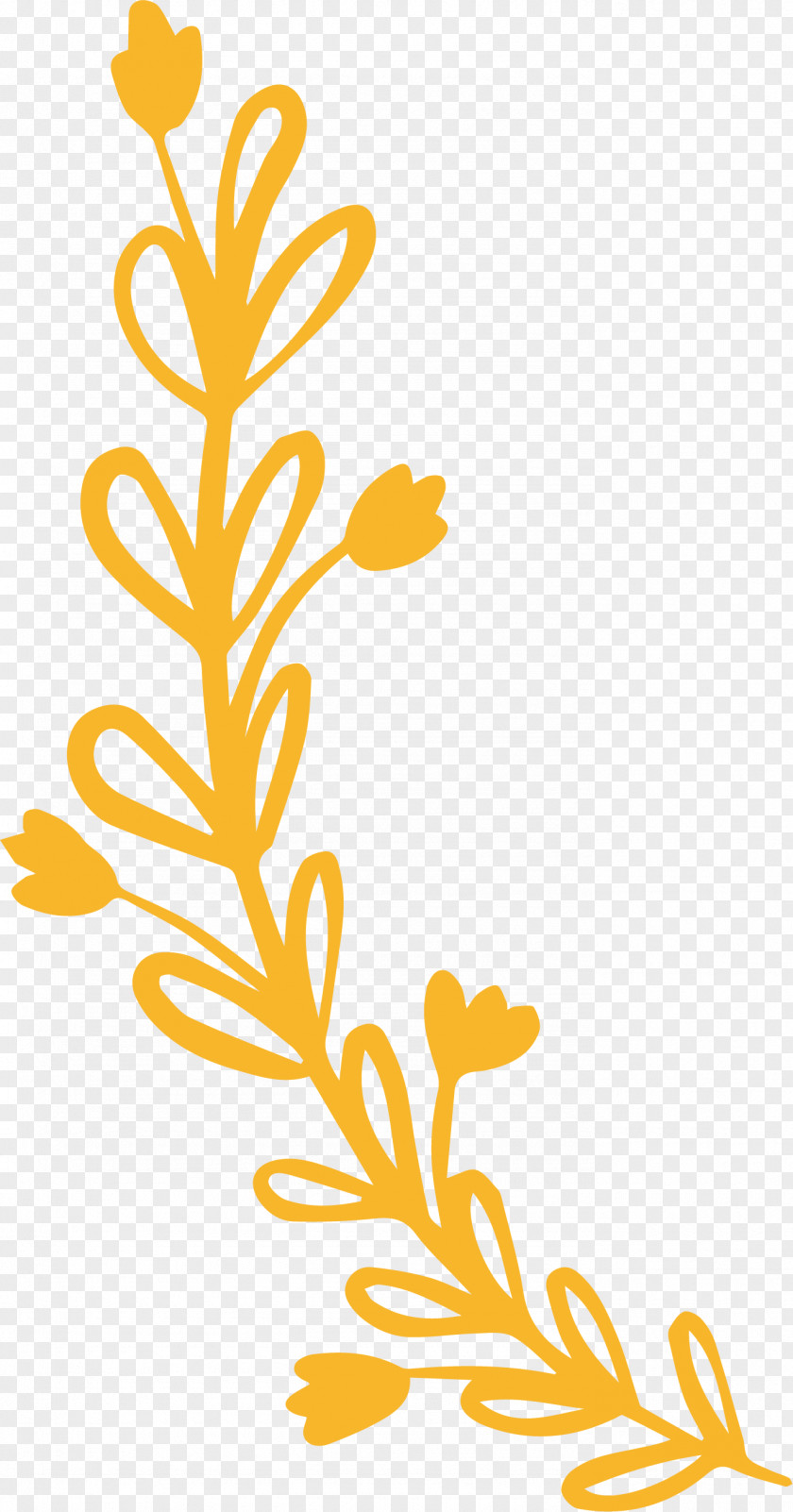 Simple Leaf Drawing Outline PNG