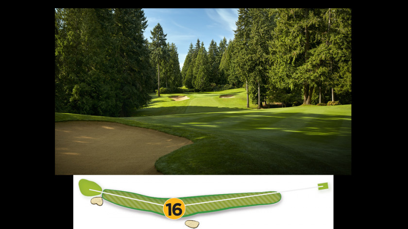 Womens Pga Championship Golf Clubs Course Tree Lawn PNG