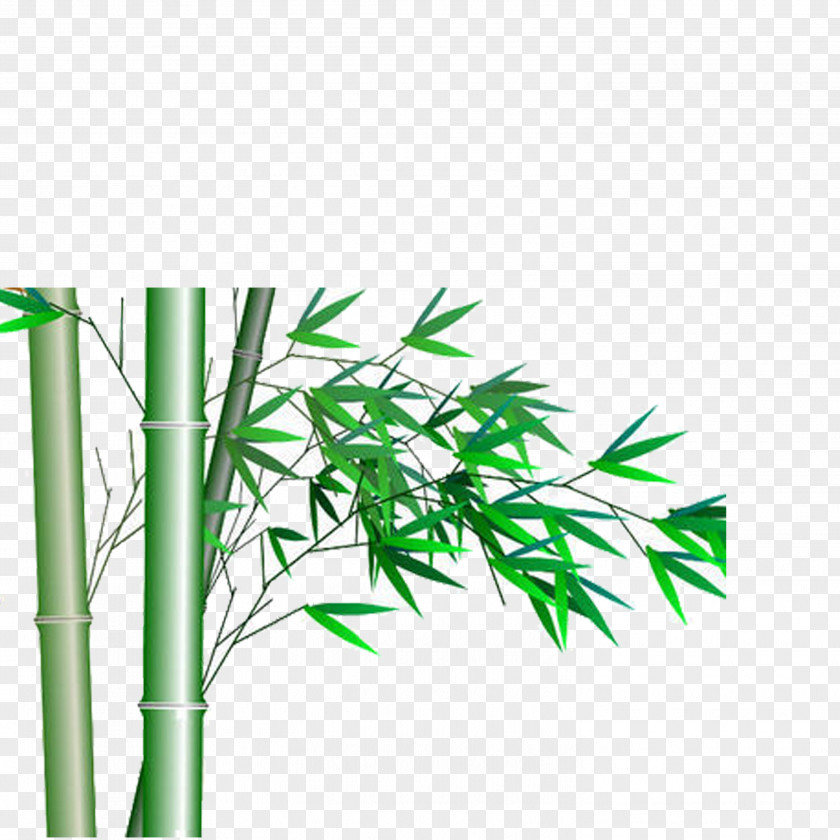Bamboo Icon PNG