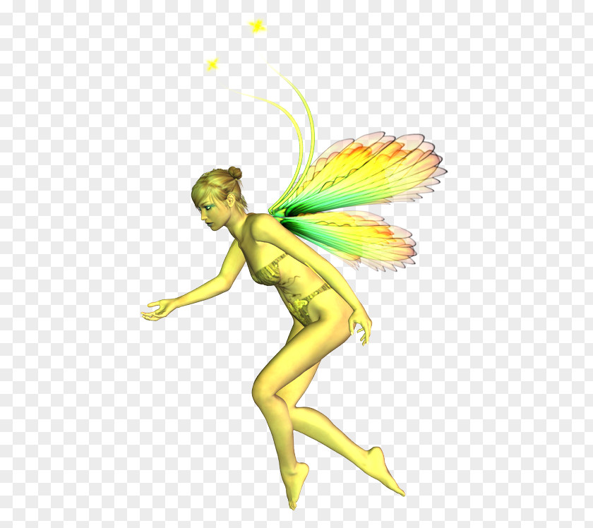 Duende Fairy Guardian Angel PNG