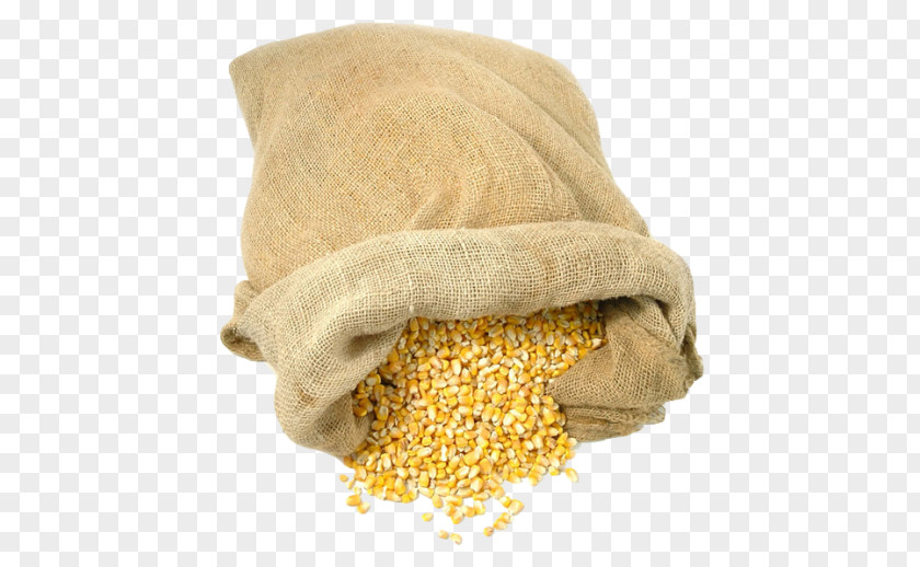 Grains Corn On The Cob Paper Maize Gunny Sack PNG