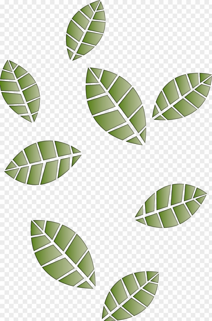 Leaf Plant Pattern Flower Tree PNG