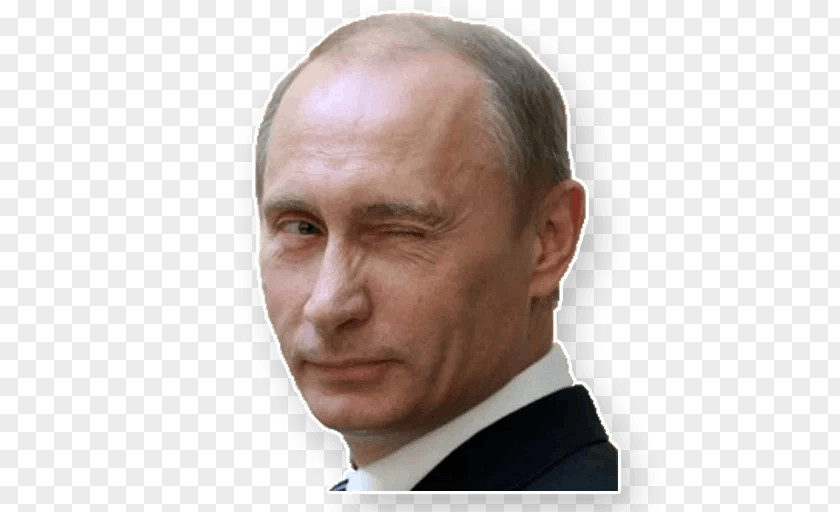 Vladimir Putin Russia Sticker Advertising Business PNG